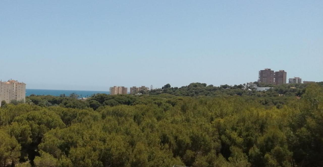 Campoamor Seaview Bagian luar foto