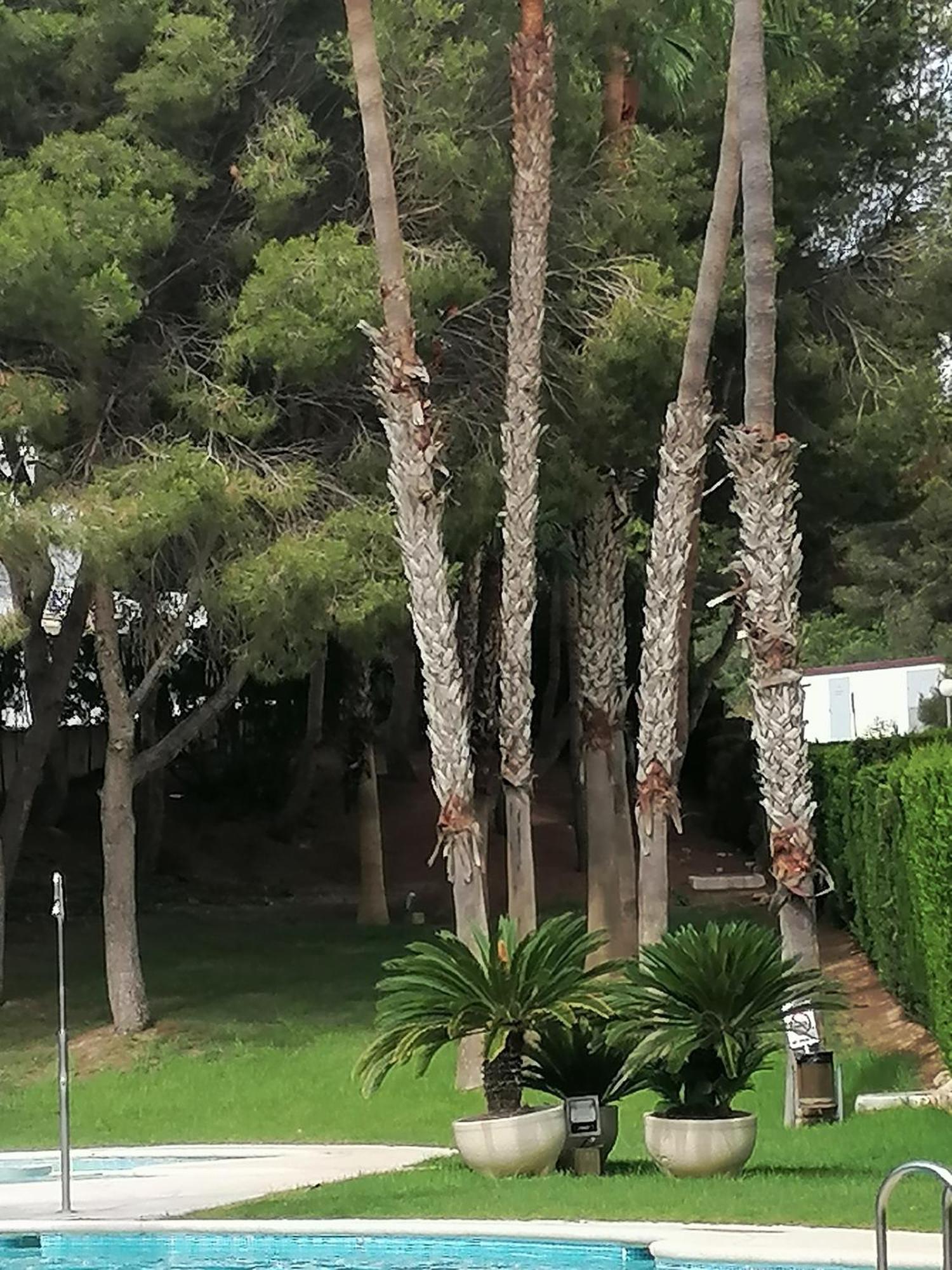 Campoamor Seaview Bagian luar foto