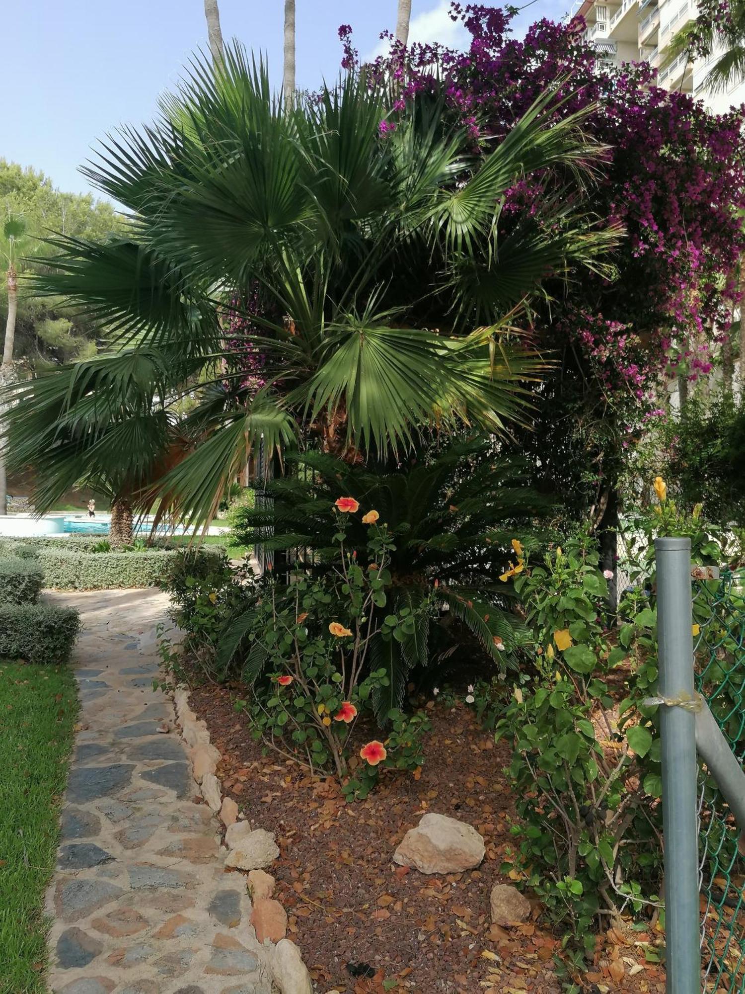 Campoamor Seaview Bagian luar foto